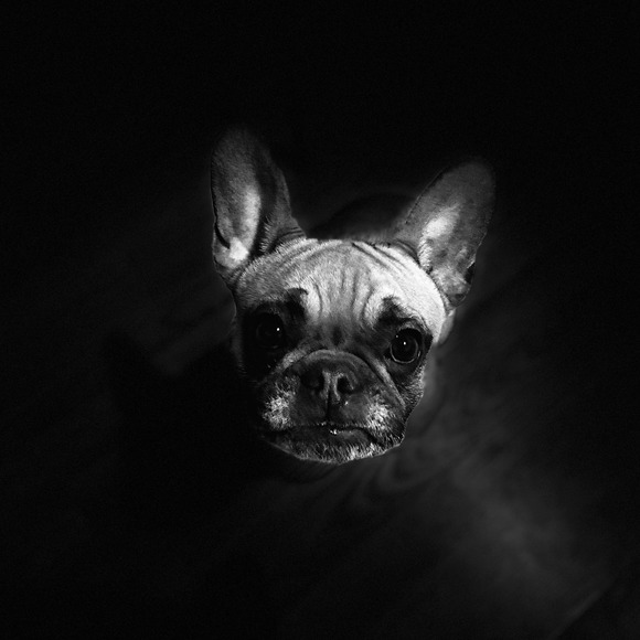 Meet your Posher, Sarah - Picture 1 of 1